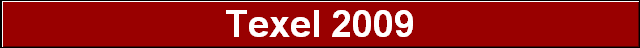Texel 2009
