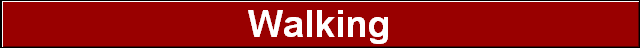 Walking